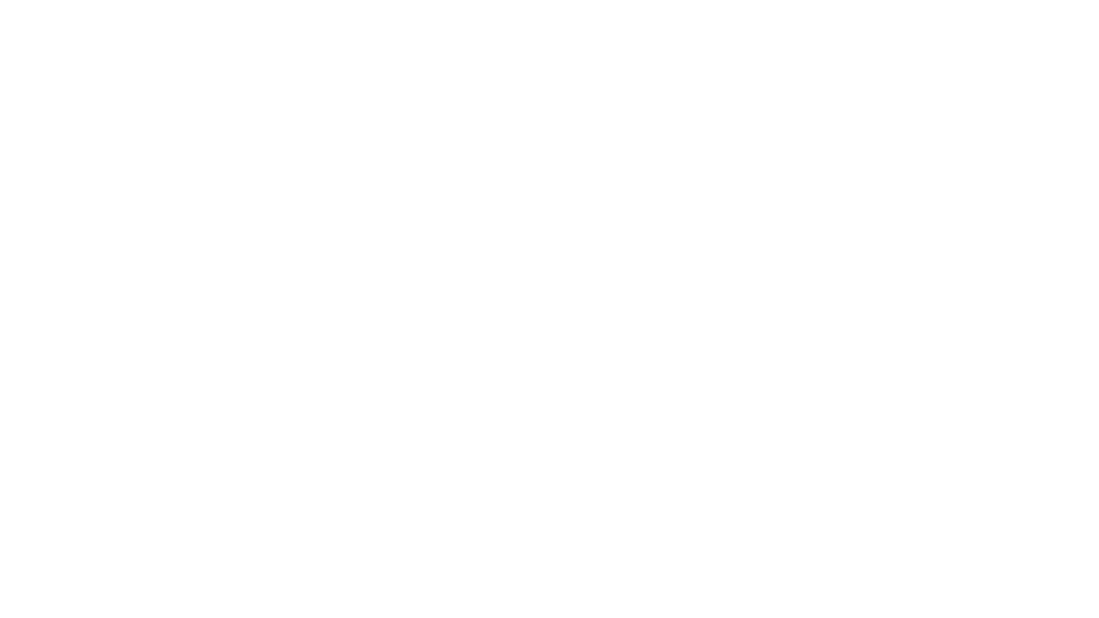 paebbl logo white